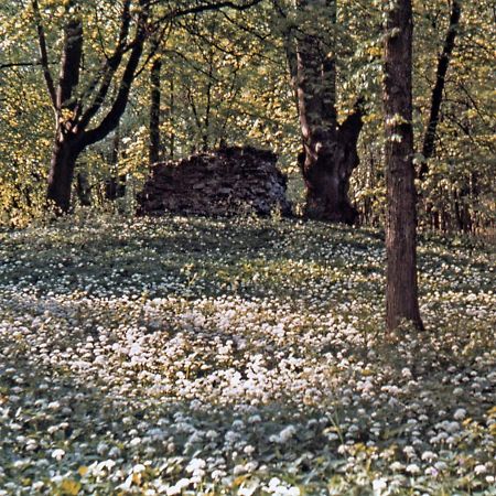 Kvarnvillan Lummelundsbruk Вісбю Екстер'єр фото